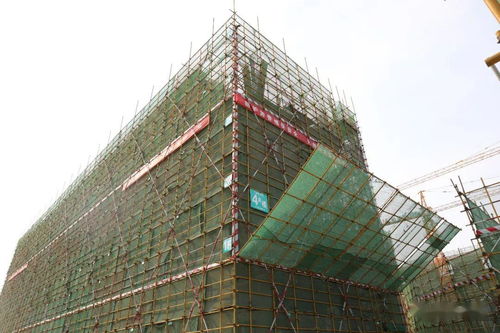 發(fā)展為要 項目為王 實干為先 我區(qū)召開重點基礎(chǔ)設(shè)施建設(shè)項目觀摩總結(jié)會